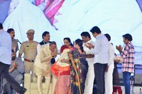 Telugu Mahasabhalu 2017 Photos